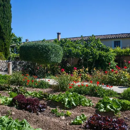 Oliver Moragues Grandhouse & Vineyard-2